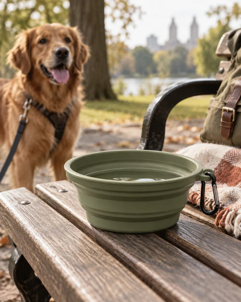 Brand editorial illustration for Collapsible Travel Bowl; not a photograph of the exact supplier item