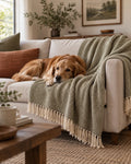 Brand editorial illustration for Everyday Furniture Throw; not a photograph of the exact supplier item