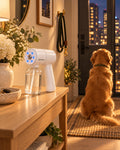 The mist sprayer on an entryway table in the evening, a golden retriever by the door