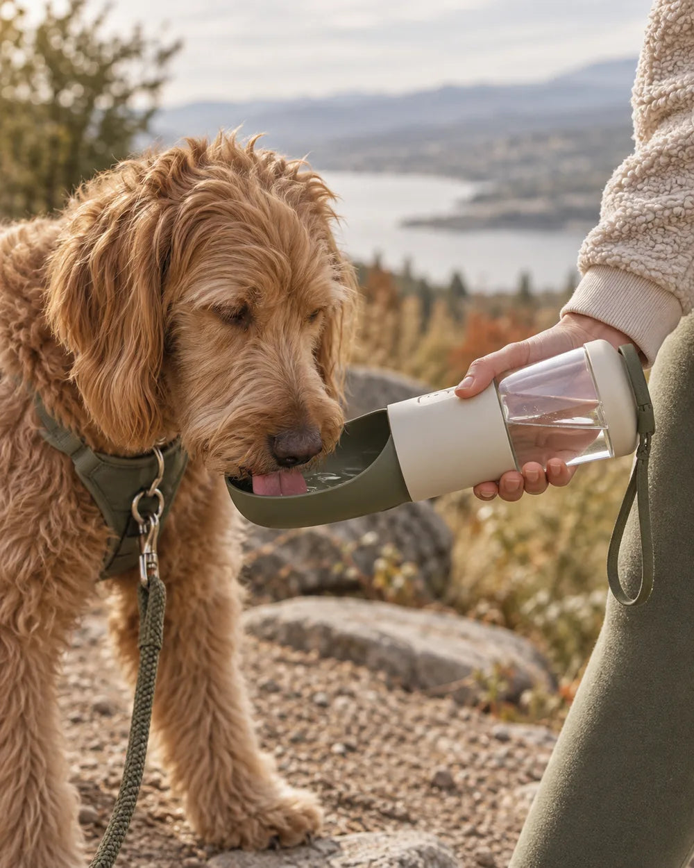 Brand editorial illustration for Portable Water Bottle; not a photograph of the exact supplier item
